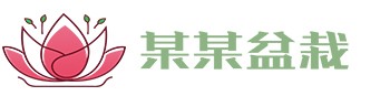 开云app网站-开云（中国）